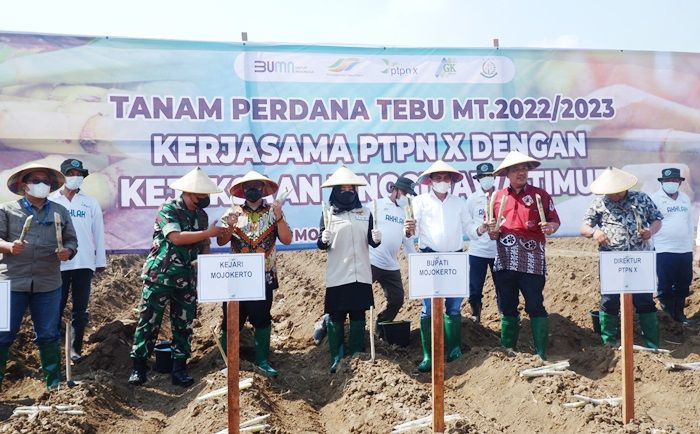 Potensi Lahan Tebu di Mojokerto Capai 11.140 Hektare, Diharap Bisa Produksi Gula 45.055 Ton Lebih