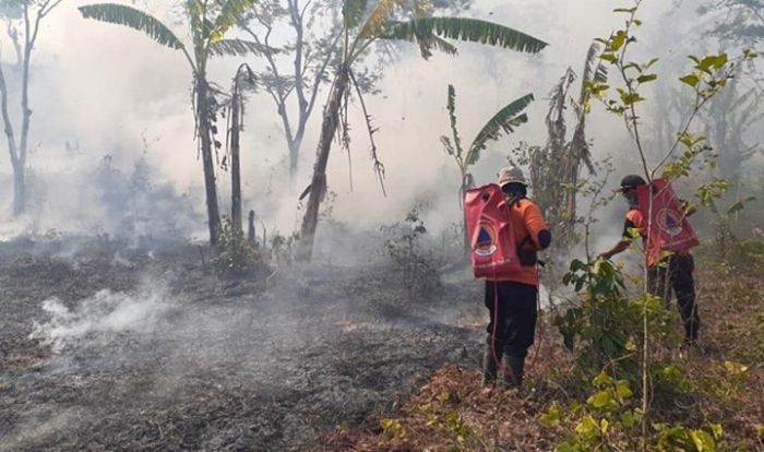 Sudah 15 Hektare Lahan Hutan di Taman Nasional Meru Betiri Hangus Terbakar Sudah 15 Hektare Lahan Hutan di Taman Nasional Meru Betiri Hangus Terbakar