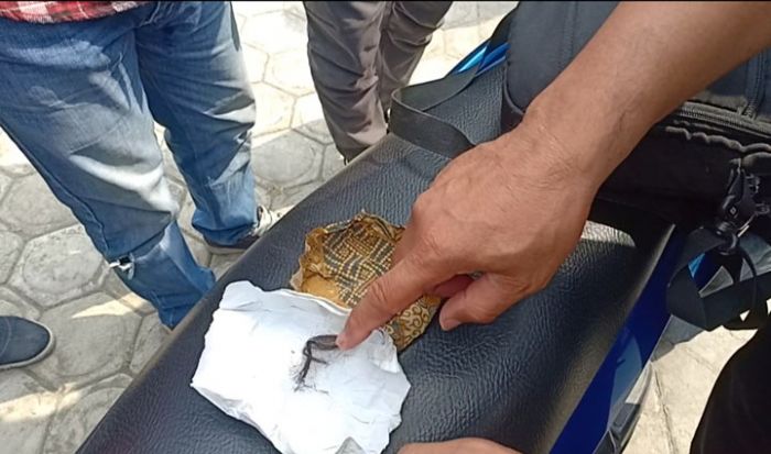 Meski Bawa Jimat, Maling di Blitar Tertangkap Juga Usai Curi Motor, Kakinya Juga Ditembak Polisi Meski Bawa Jimat, Maling di Blitar Tertangkap Juga Usai Curi Motor, Kakinya Juga Ditembak Polisi