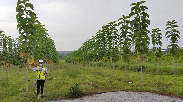 Minimaliasir Kerusakan Lingkungan, SIG Ghopo Tuban Reklamasi 315,24 Hektare Lahan Bekas Tambang Minimaliasir Kerusakan Lingkungan, SIG Ghopo Tuban Reklamasi 315,24 Hektare Lahan Bekas Tambang