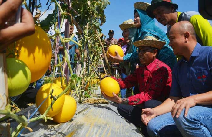 Desa Jalmak Dicanangkan sebagai Agrobisnis Pamekasan
