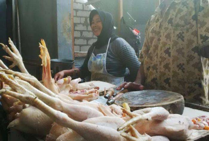 Harga Daging Ayam di Lamongan Tembus Rp 75 ribu, Imbas Naiknya Harga Daging Sapi Harga Daging Ayam di Lamongan Tembus Rp 75 ribu, Imbas Naiknya Harga Daging Sapi