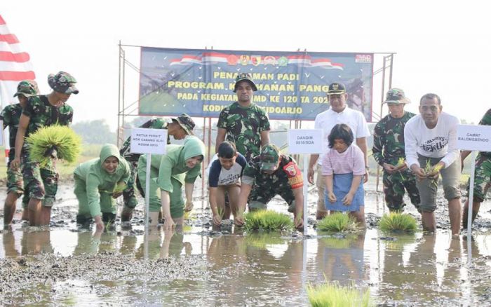 Ini Upaya TMMD ke-120 Kodim 0816/Sidoarjo Wujudkan Ketahanan Pangan