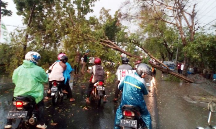 Kerugian Akibat Badai Angin Kencang di Bojonegoro Capai Rp 1,9 Miliar