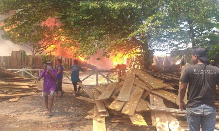 Gara-gara Bakar Sekam, Gudang Penjemuran Kayu di Pasuruan Ludes Terbakar