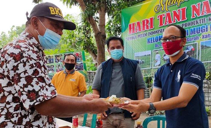 Peringati Hari Tani Nasional, Petani di Kabupaten Kediri Keluhkan Harga Pupuk yang Mahal