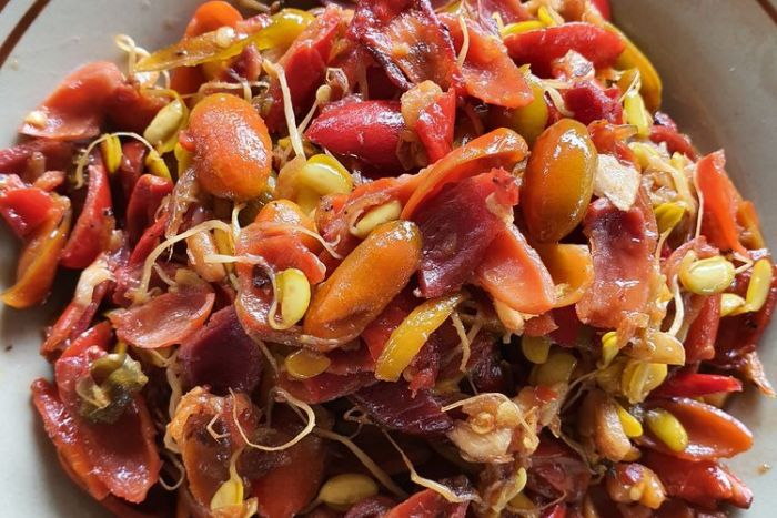 Resep Tumis Kulit Melinjo Dicampur Daging Sapi Cincang Resep Tumis Kulit Melinjo Dicampur Daging Sapi Cincang
