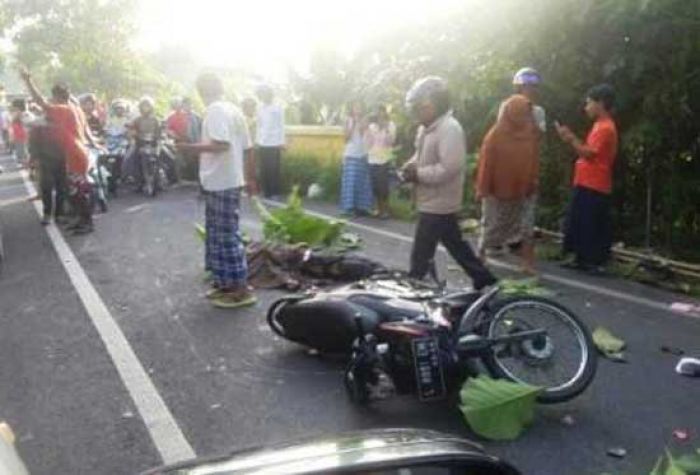 Sepeda Motor Vs Micro Bus di Jalan Raya Tambung, Satu Orang Tewas Sepeda Motor Vs Micro Bus di Jalan Raya Tambung, Satu Orang Tewas