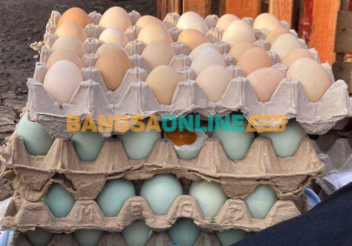 Daftar Harga Sembako Jatim 1 Januari 2026: Telur Kampung Rp47.169/kg, Cabai Keriting Rp33.045/kg