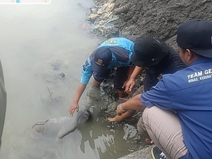 Hilang Sejak Minggu, Bocah 10 Tahun Ditemukan Meninggal di Sungai Jalan Kalimas Barat