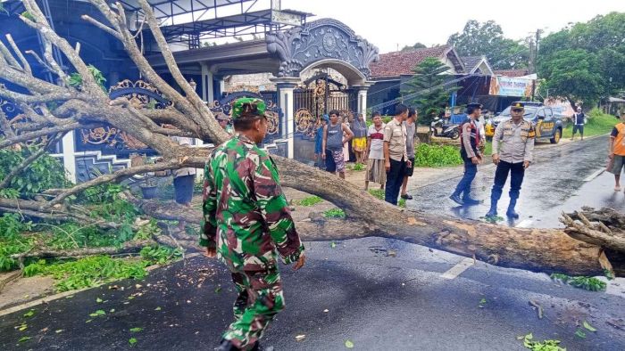 Anggota Polres Sumenep Evakuasi Pohon Tumbang di Jalan Raya Gapura