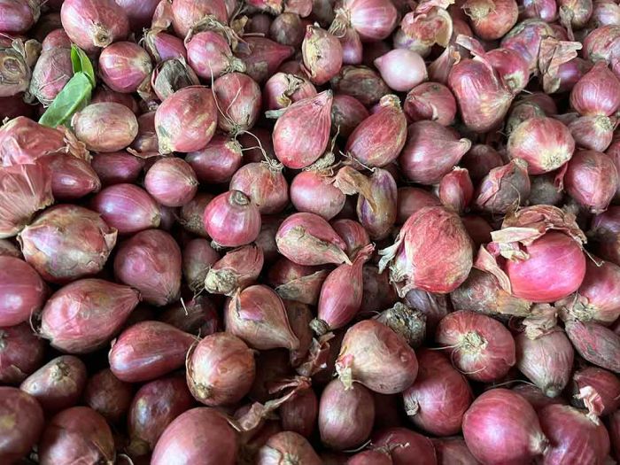 Harga Sembako Jatim Kamis 5 Juni 2025: Bawang Merah Rp38.717/kg, Cabai Rawit Rp33.558/kg Harga Sembako Jatim Kamis 5 Juni 2025: Bawang Merah Rp38.717/kg, Cabai Rawit Rp33.558/kg