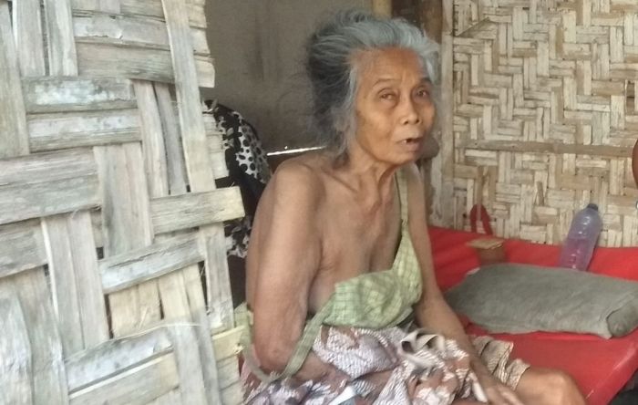 Hidup Sebatang Kara, Tunawicara, dan Lumpuh, Nenek di Jember ini Butuh Perhatian Pemerintah Hidup Sebatang Kara, Tunawicara, dan Lumpuh, Nenek di Jember ini Butuh Perhatian Pemerintah