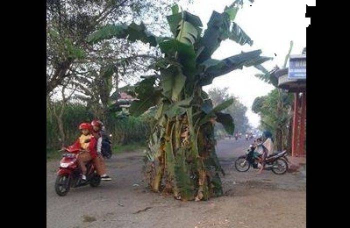 Jalan ke Wisata Popoh Tulungagung Rusak Parah