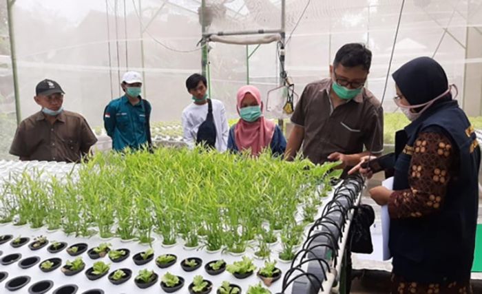Jaminan Mutu Produk Pertanian dengan Sertifikasi Prima Jaminan Mutu Produk Pertanian dengan Sertifikasi Prima
