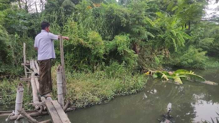 Kemunculan Sejumlah Buaya di Sungai Gegerkan Warga Candi Sidoarjo Kemunculan Sejumlah Buaya di Sungai Gegerkan Warga Candi Sidoarjo