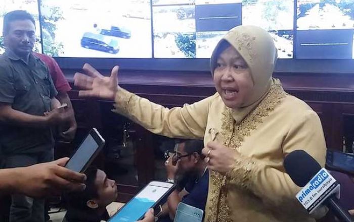 PDIP Segera Daftarkan Bu Risma sebagai Cagub Jatim, Wacana Calon Tunggal Jalan Buntu PDIP Segera Daftarkan Bu Risma sebagai Cagub Jatim, Wacana Calon Tunggal Jalan Buntu