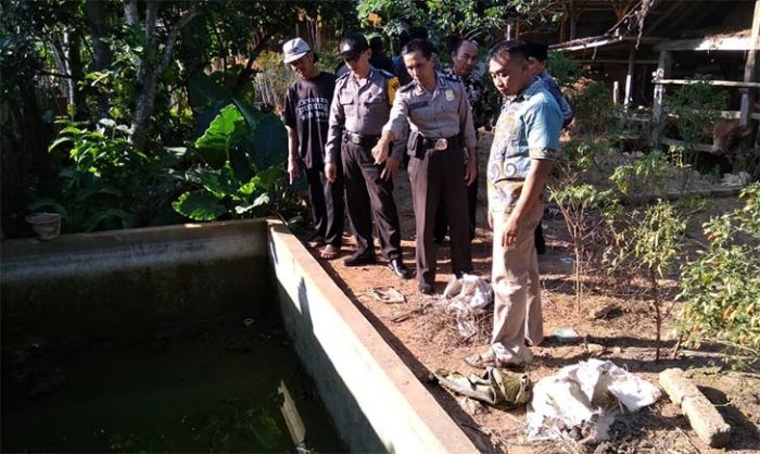 Tak Diawasi Orang Tua, Balita di Punung Pacitan Tewas Masuk Kolam Ikan Tak Diawasi Orang Tua, Balita di Punung Pacitan Tewas Masuk Kolam Ikan