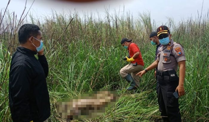 Mayat Wanita Telanjang Ditemukan di Semak-semak Desa Rangkah Kidul Sidoarjo