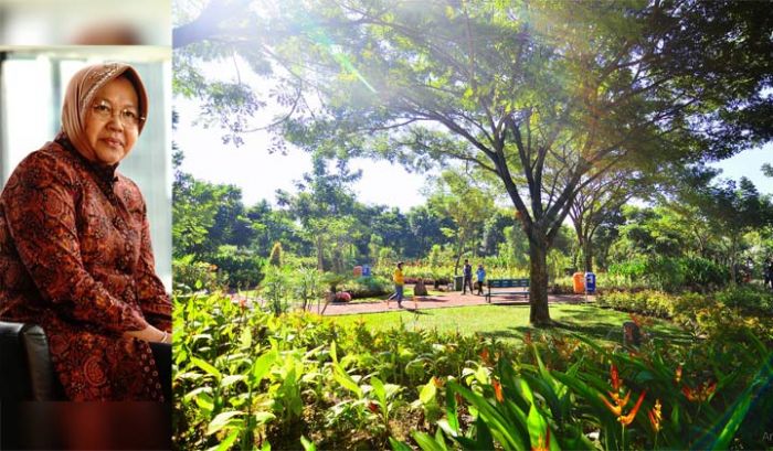 Menjaga Kualitas Udara dengan Pengembangan Ruang Terbuka Hijau Menjaga Kualitas Udara dengan Pengembangan Ruang Terbuka Hijau