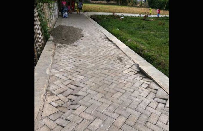 Baru Dibangun 2 Bulan Lalu, Proyek Paving di Mimbaan Situbondo sudah Ambrol Baru Dibangun 2 Bulan Lalu, Proyek Paving di Mimbaan Situbondo sudah Ambrol
