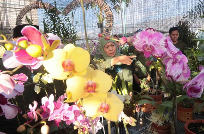 Gubernur Khofifah Peringati HMPI 2022 di Trenggalek Gubernur Khofifah Peringati HMPI 2022 di Trenggalek