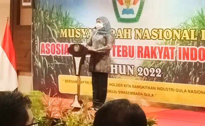 Pastikan Stok Gula di Jatim Aman, Gubernur Khofifah: Asal Tak Digerakkan Keluar Jatim Pastikan Stok Gula di Jatim Aman, Gubernur Khofifah: Asal Tak Digerakkan Keluar Jatim