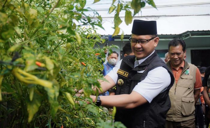 Wujudkan Kemandirian Pangan, Pemkot Batu Canangkan P2L Wujudkan Kemandirian Pangan, Pemkot Batu Canangkan P2L