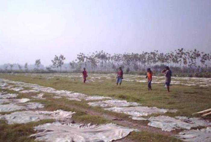 JelangLebaran, Pesanan Krecek Mojokerto Melonjak