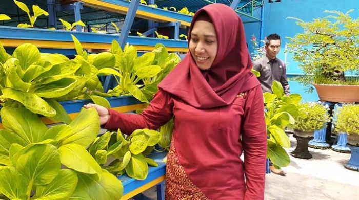 Wali Kota Mojokerto Serukan Warganya untuk Gencar Menanam Tanaman Pangan dan Hortikultura Wali Kota Mojokerto Serukan Warganya untuk Gencar Menanam Tanaman Pangan dan Hortikultura