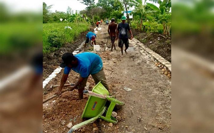 Dukung Swasembada Pangan Presiden, Pemdes Racitengah Gresik Bangun JUT Dukung Swasembada Pangan Presiden, Pemdes Racitengah Gresik Bangun JUT