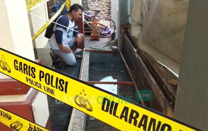 Warga Kota Blitar Kedapatan Pelihara Ular dan Buaya di Perumahan Warga Kota Blitar Kedapatan Pelihara Ular dan Buaya di Perumahan