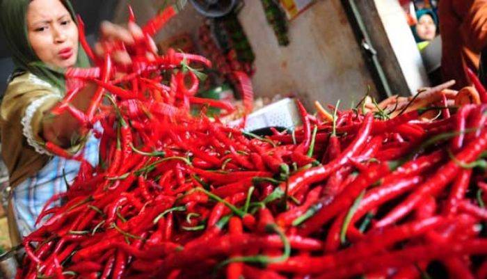 Harga Cabai di Bojonegoro Tembus Rp 110 ribu Harga Cabai di Bojonegoro Tembus Rp 110 ribu
