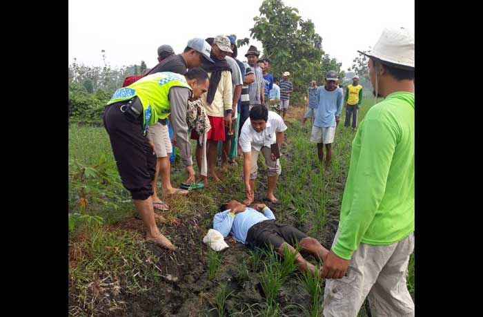 Lagi, Warga Ngawi Tewas Kesetrum Lagi, Warga Ngawi Tewas Kesetrum