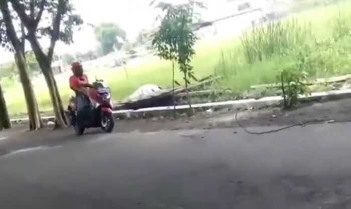 Viral, Seorang Pria di Sidoarjo Onani di atas Motor Dekat SMP/SMA 10 Nopember Viral, Seorang Pria di Sidoarjo Onani di atas Motor Dekat SMP/SMA 10 Nopember