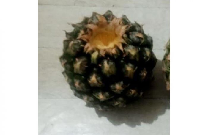 Di Lawang Malang, Menu MBG Hanya Satu Buah Nanas dan Kacang Bawang