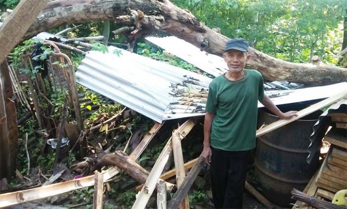 Tertima Pohon, 1 Rumah di Kediri Rusak