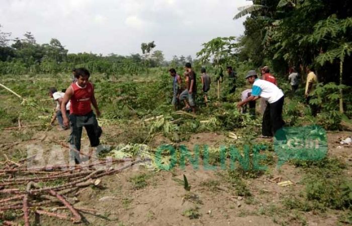 Rebutan Lahan Garapan Milik TNI AU di Ponggok Blitar, Dua Kubu Warga Penggarap Nyaris Bentrok Rebutan Lahan Garapan Milik TNI AU di Ponggok Blitar, Dua Kubu Warga Penggarap Nyaris Bentrok
