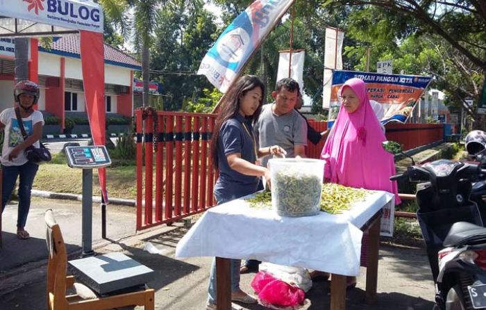 Harga Cabai Tinggi, Bulog Gelar Operasi Pasar Harga Cabai Tinggi, Bulog Gelar Operasi Pasar