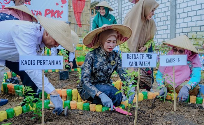 Optimalkan Pekarangan Rumah, Ketua TP PKK Gresik Ajak Ibu-Ibu Tanam Cabai Optimalkan Pekarangan Rumah, Ketua TP PKK Gresik Ajak Ibu-Ibu Tanam Cabai