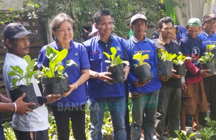 Partai Nasdem Ajak Warga Lamongan Gemar Menanam Partai Nasdem Ajak Warga Lamongan Gemar Menanam