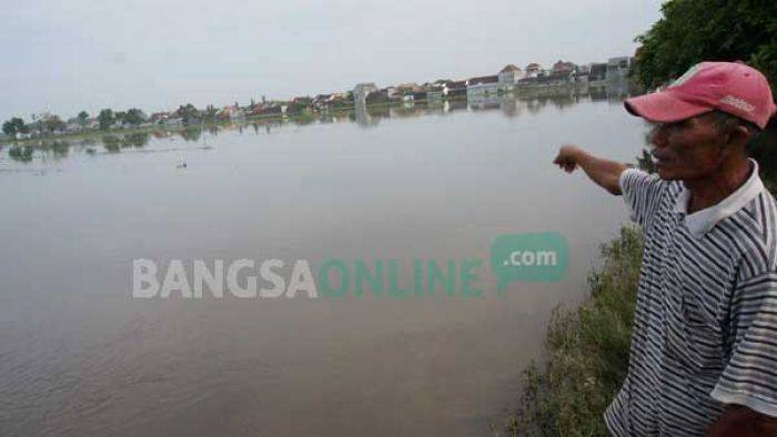 Sawah di 8 Kecamatan Jombang yang Terendam Banjir Tidak Tercover Asuransi Tani Sawah di 8 Kecamatan Jombang yang Terendam Banjir Tidak Tercover Asuransi Tani