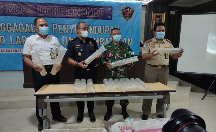 Bea Cukai Juanda Berhasil Gagalkan Penyelundupan 29.250 Ekor Benih Lobster Senilai Rp2,9 Miliar Bea Cukai Juanda Berhasil Gagalkan Penyelundupan 29.250 Ekor Benih Lobster Senilai Rp2,9 Miliar