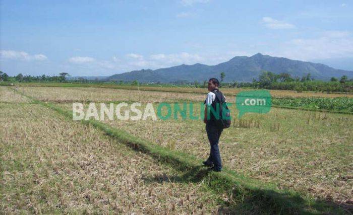Universitas Brawijaya Kediri segera Dibangun Tahun Depan, Dianggarkan Rp 15 Milyar Universitas Brawijaya Kediri segera Dibangun Tahun Depan, Dianggarkan Rp 15 Milyar