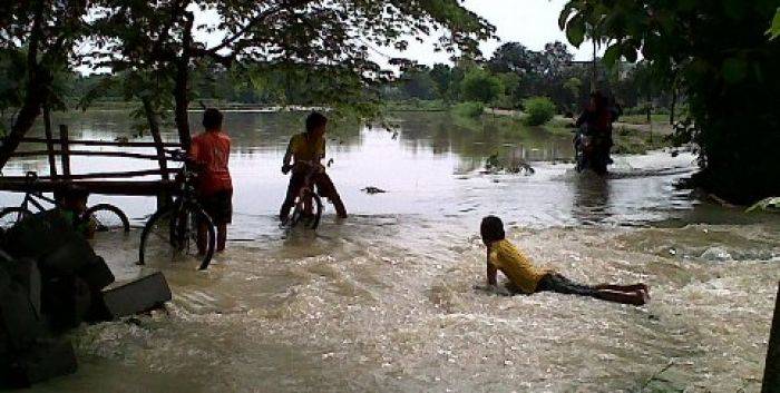 Puluhan Hektare Tanaman Padi di Bojonegoro Terendam Banjir Puluhan Hektare Tanaman Padi di Bojonegoro Terendam Banjir