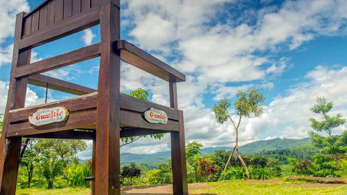5 Tempat Wisata Alam di Jember Terbaik dan Menakjubkan 5 Tempat Wisata Alam di Jember Terbaik dan Menakjubkan
