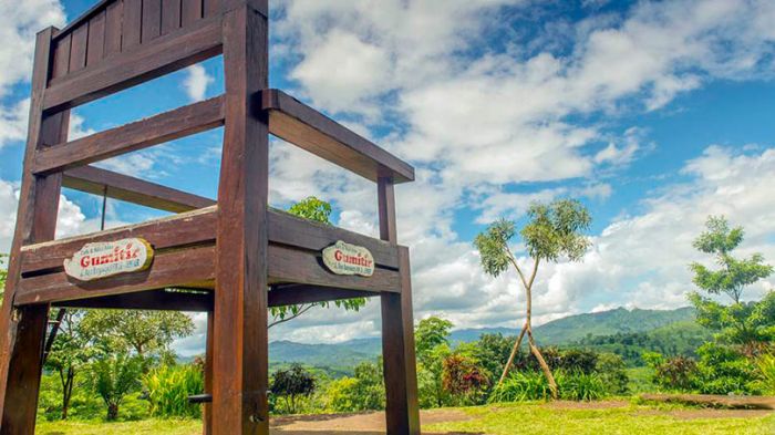 5 Tempat Wisata Alam di Jember Terbaik dan Menakjubkan