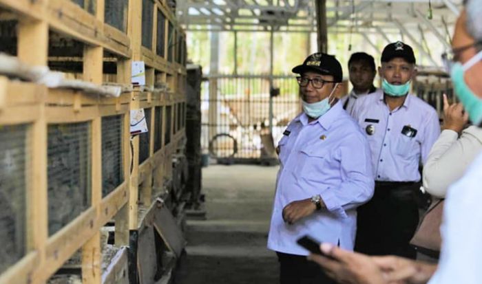 Bupati Blitar Dorong Peternak Puyuh Bentuk Organisasi Resmi Bupati Blitar Dorong Peternak Puyuh Bentuk Organisasi Resmi