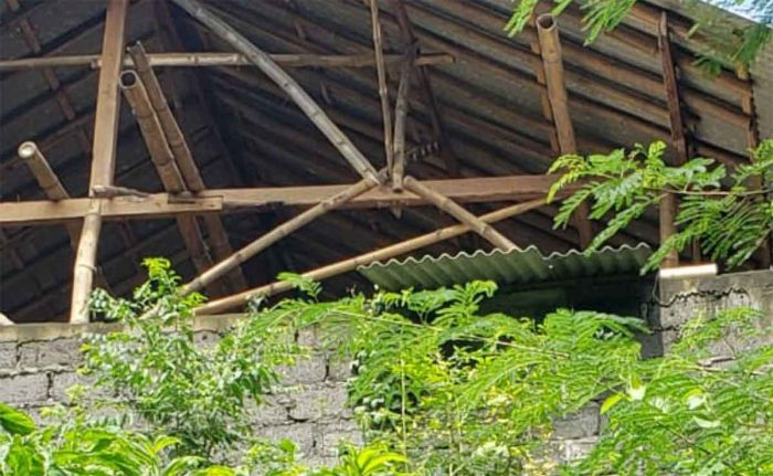 Buntut Polusi Kandang Ayam di Kedopok Probolinggo, Pemilik Dipanggil Besok Buntut Polusi Kandang Ayam di Kedopok Probolinggo, Pemilik Dipanggil Besok
