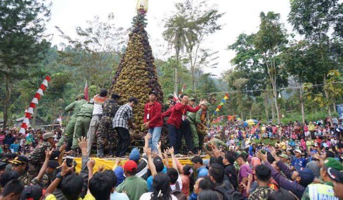 2016 Buah Salak Berbentuk Tumpeng di Wonosalam Jombang Diserbu Ratusan Orang
